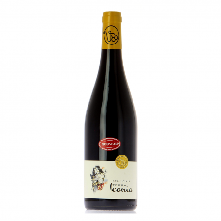 Beaujolais nouveau AOC rouge