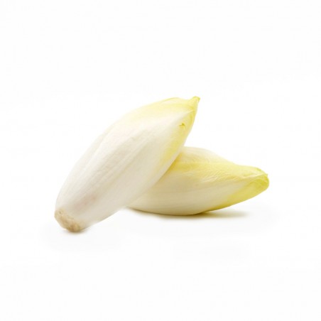 Endive